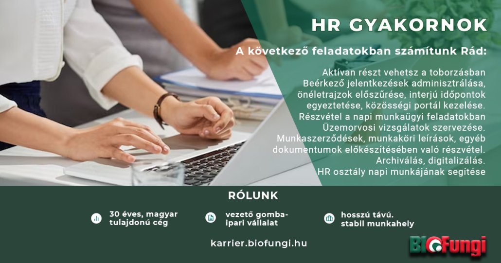 HR gyakornok